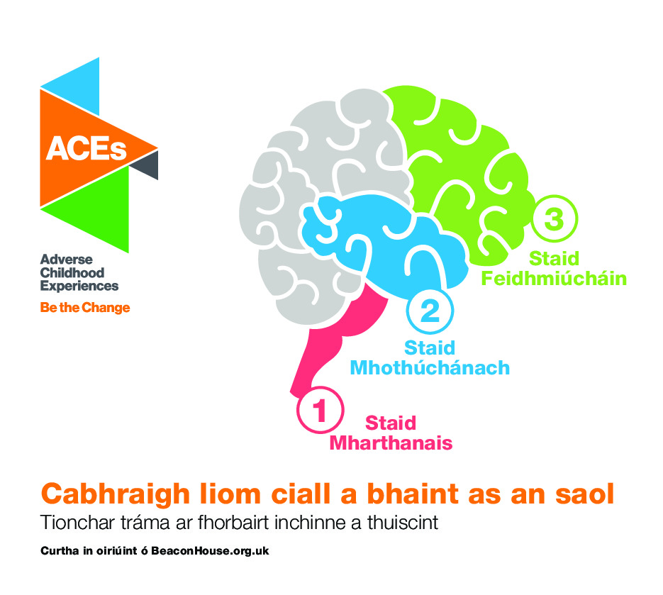 Help me make sense of the world - Brain development card (Irish)