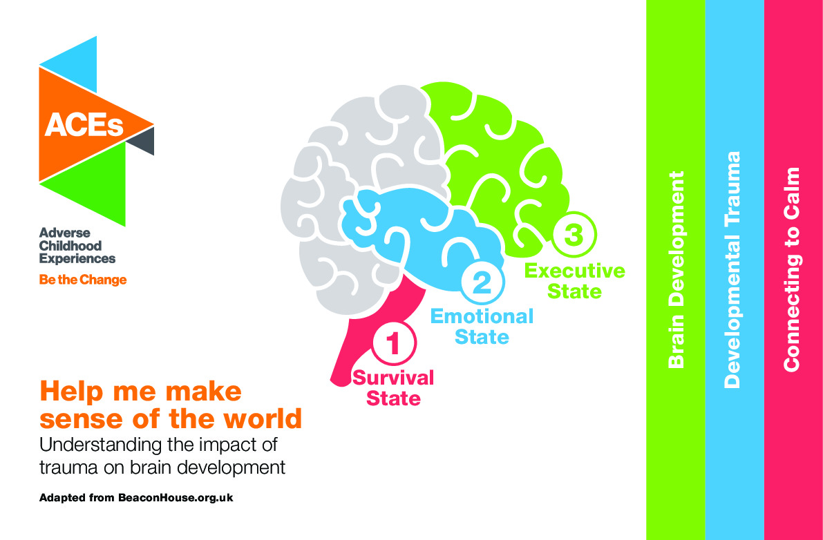 Help me make sense of the world - Brain development card